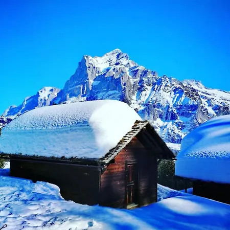 Chalet Swisshut Stunning Views Alps - Flora