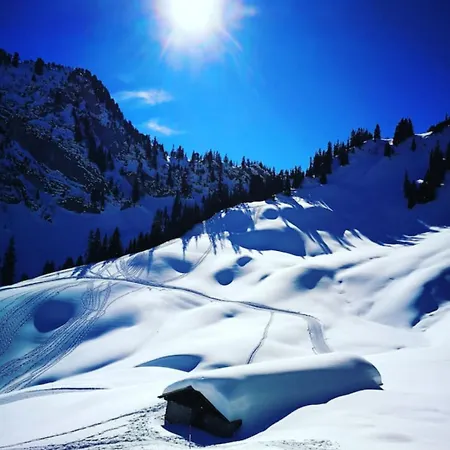 Alpstuga Swisshut Stunning Views Alps - Flora