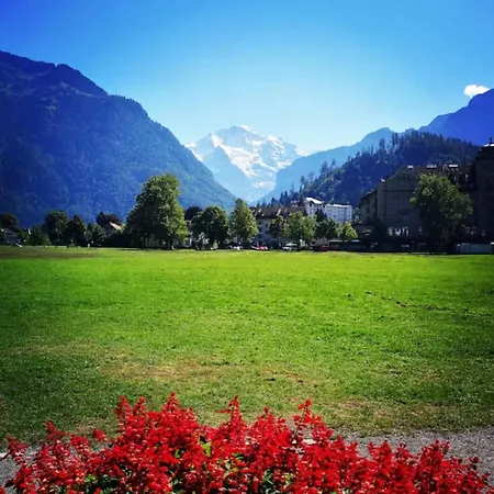 Swisshut Stunning Views Alps - Flora