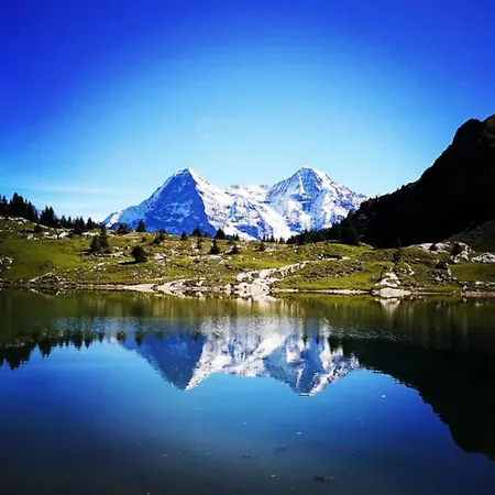 Chalet Swisshut Stunning Views Alps - Flora