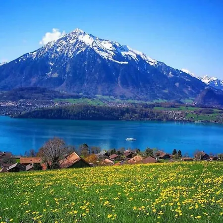 Swisshut Stunning Views Alps - Flora Chalet