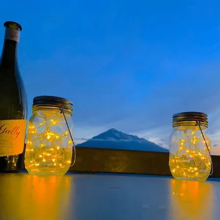 Chalet Swisshut Stunning Views Alps - Flora Beatenberg
